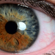 Illustration for article titled Shooting Challenge Eye Gallery 1